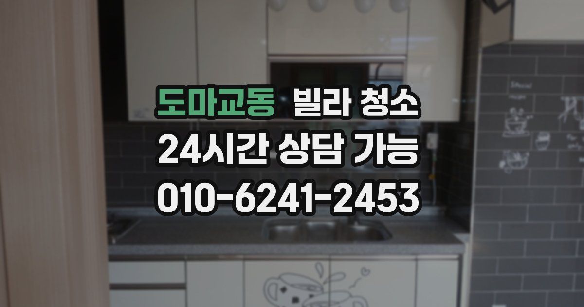 도마교동 빌라 청소