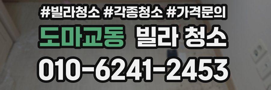 도마교동 빌라 청소