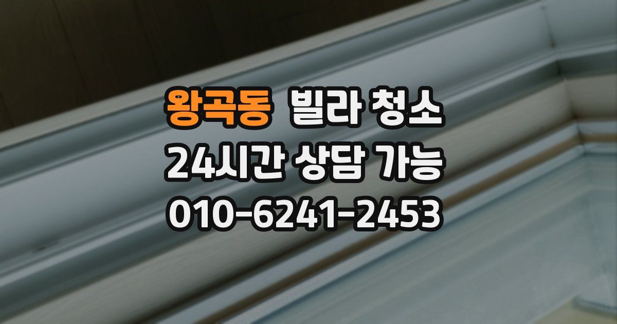 왕곡동 빌라 청소