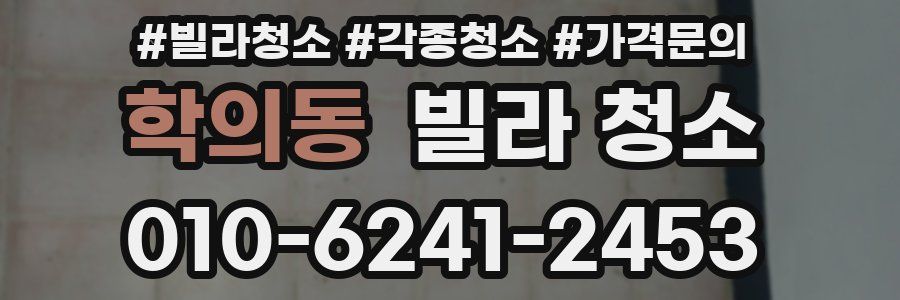 학의동 빌라 청소