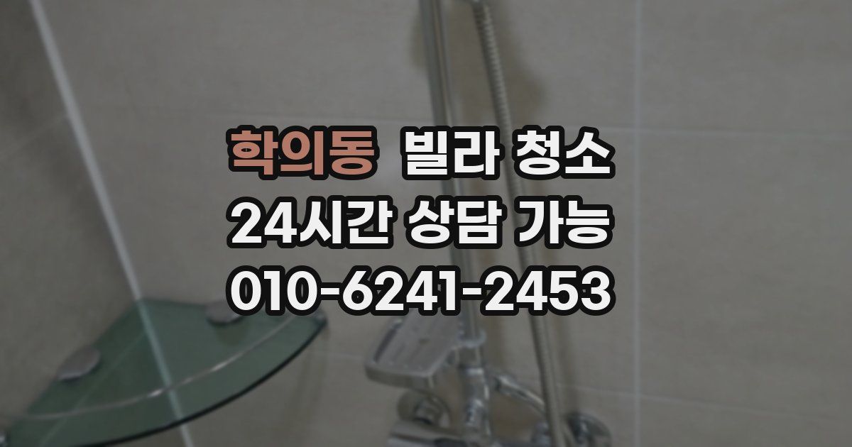 학의동 빌라 청소