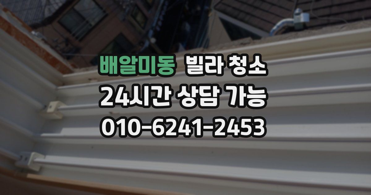 배알미동 빌라 청소