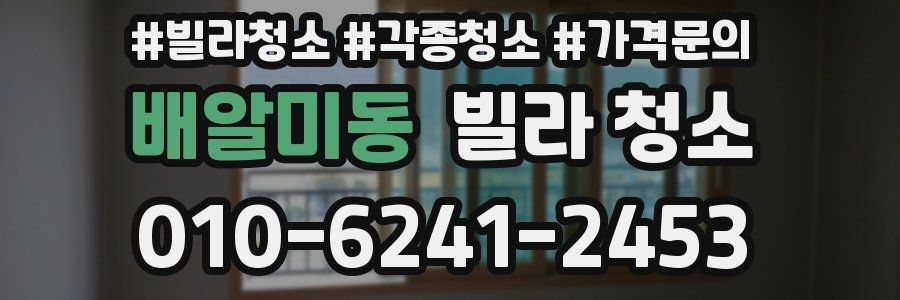 배알미동 빌라 청소