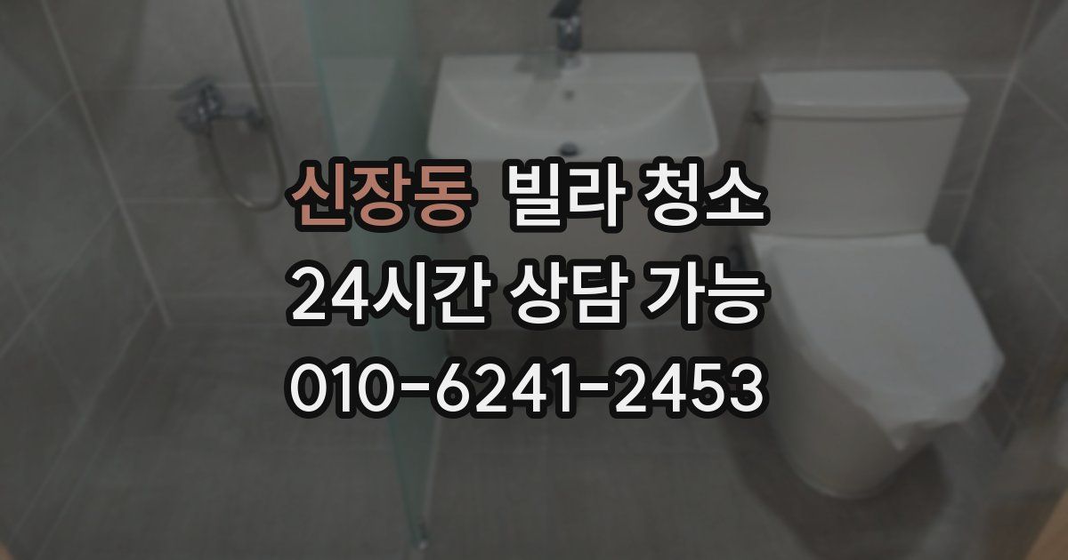 신장동 빌라 청소