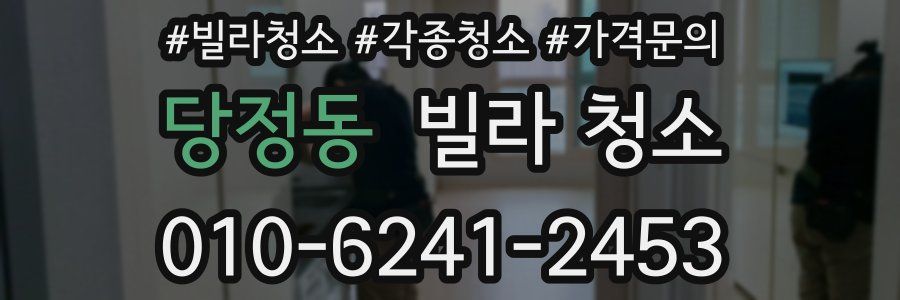 당정동 빌라 청소