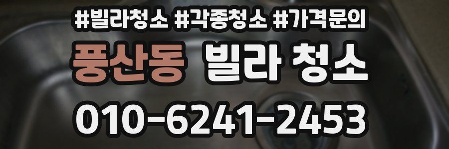 풍산동 빌라 청소