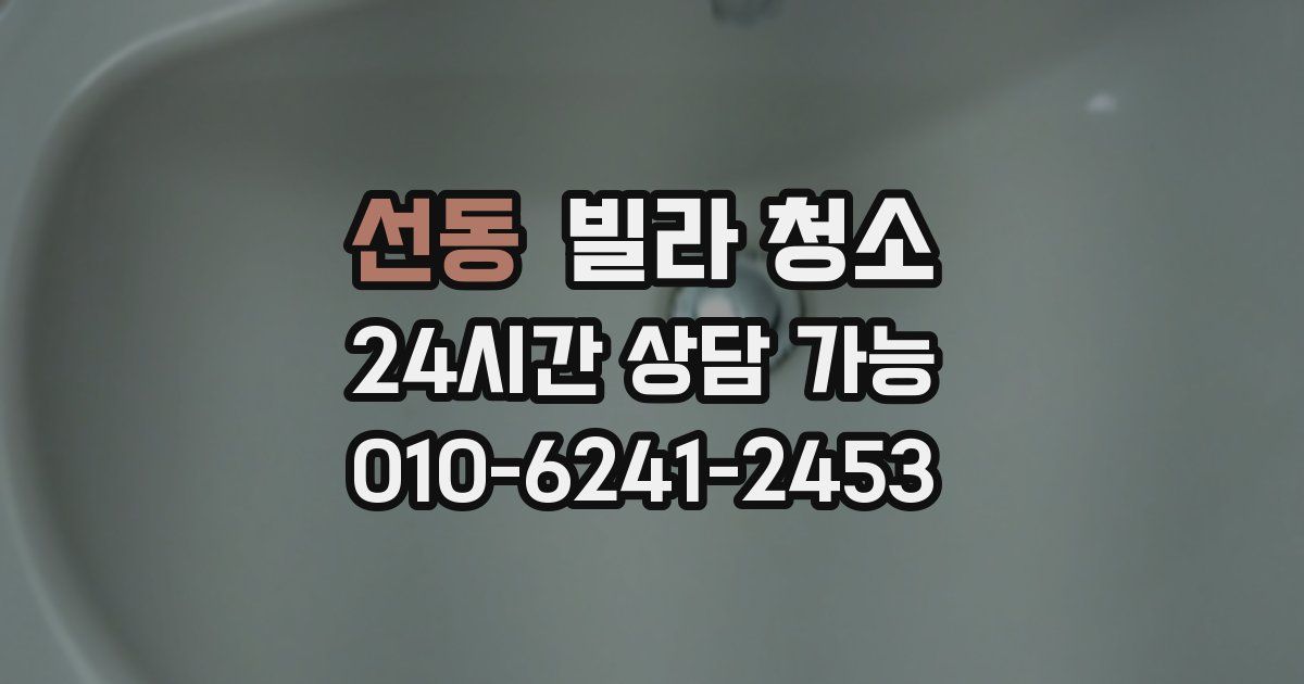 선동 빌라 청소