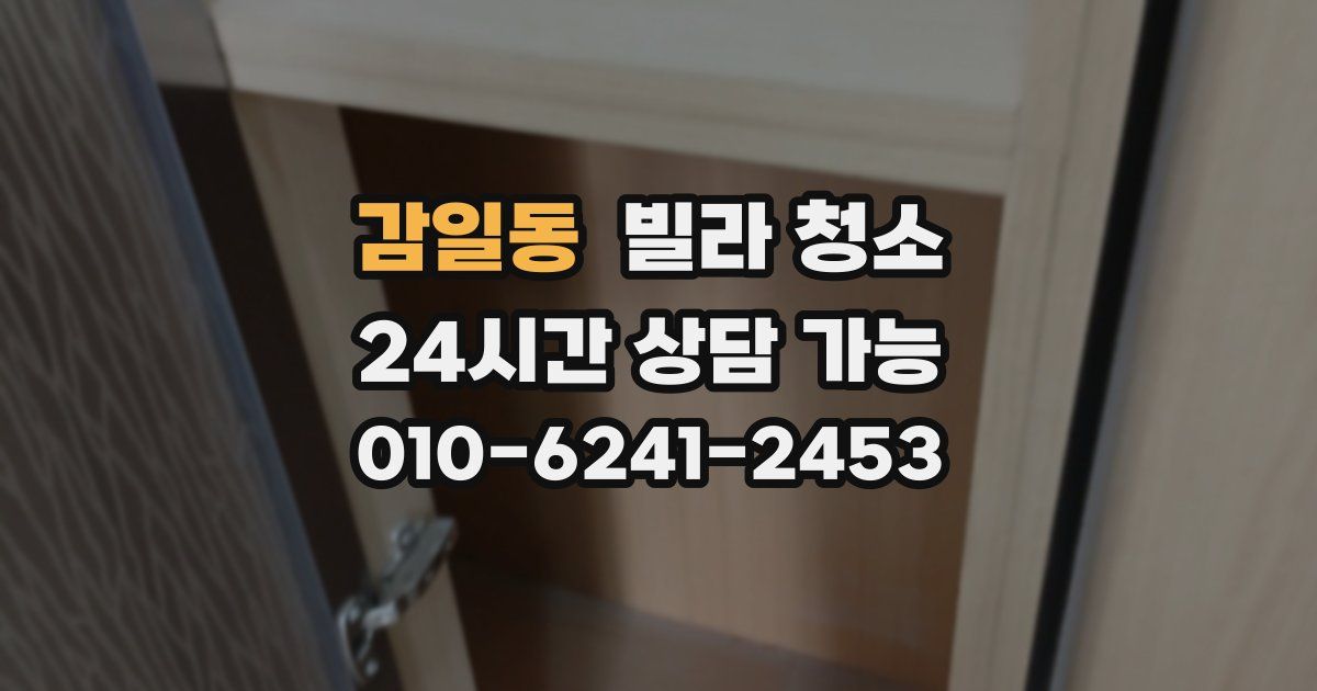 감일동 빌라 청소