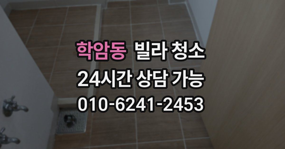 학암동 빌라 청소