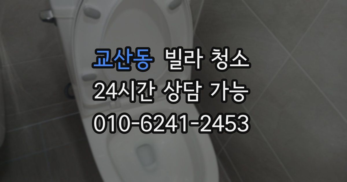 교산동 빌라 청소