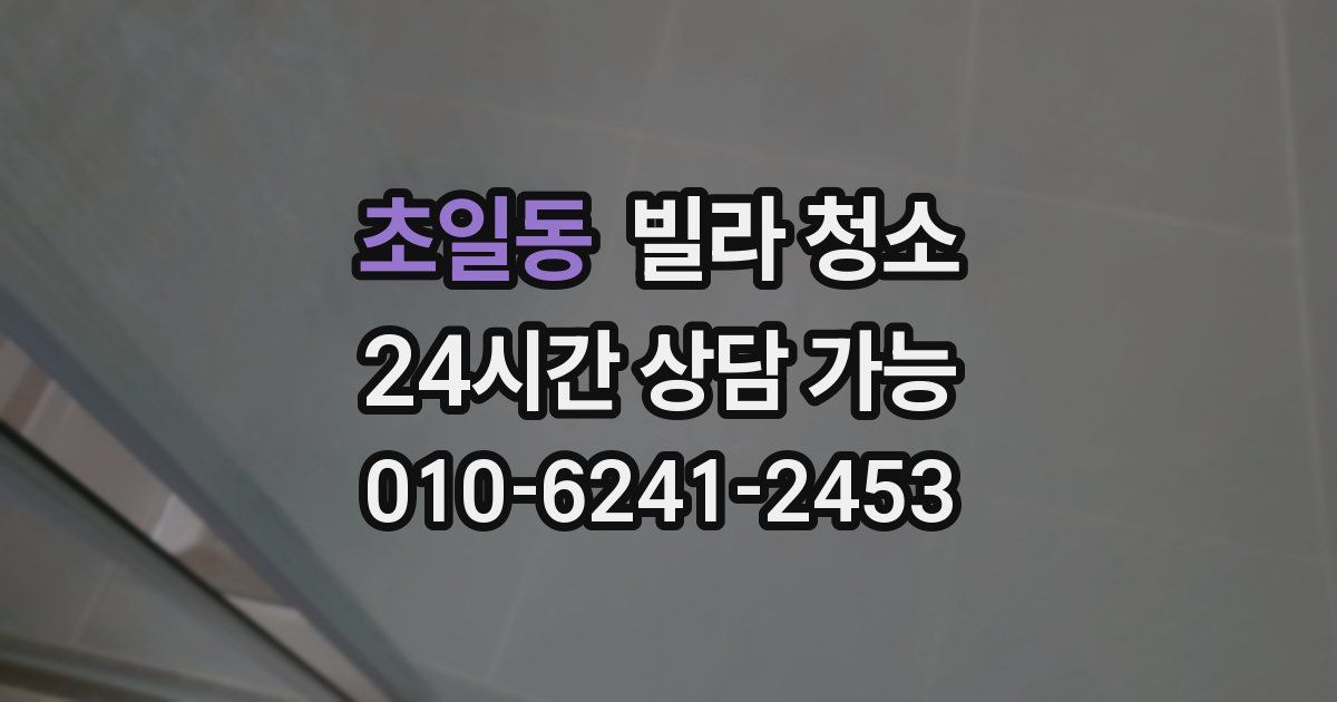 초일동 빌라 청소