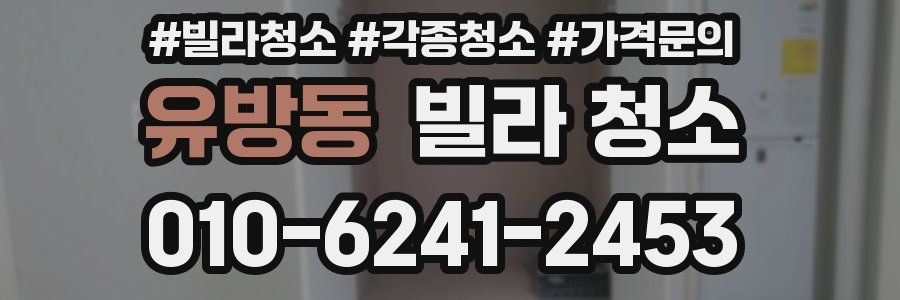 유방동 빌라 청소
