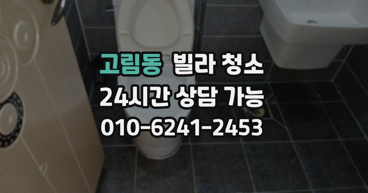 고림동 빌라 청소