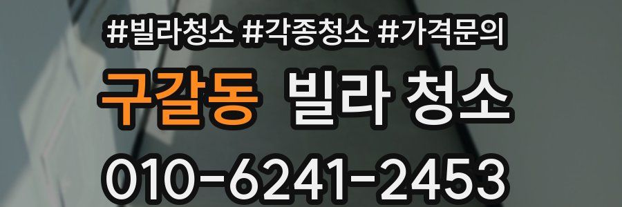 구갈동 빌라 청소
