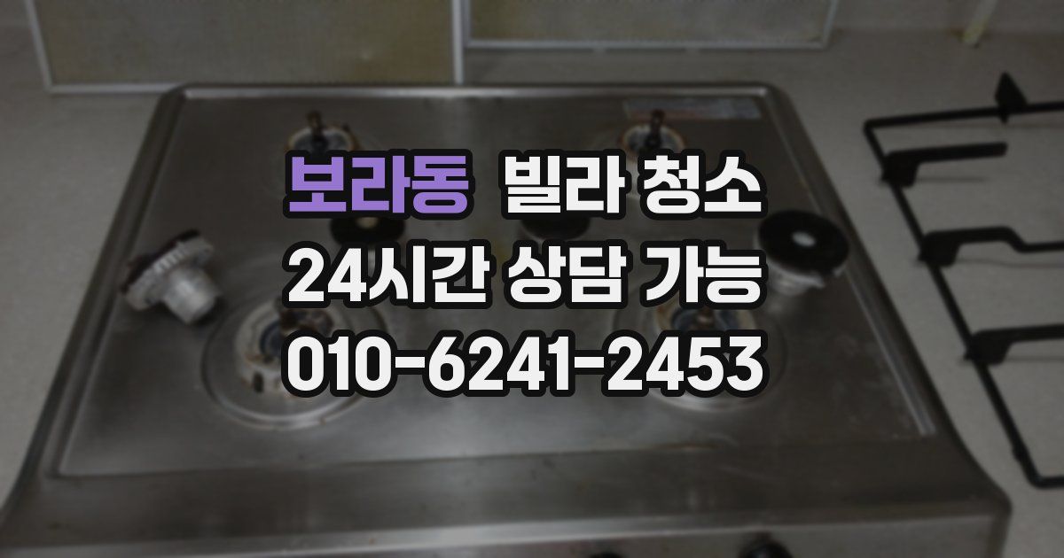 보라동 빌라 청소