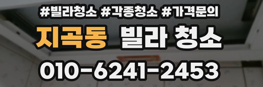 지곡동 빌라 청소