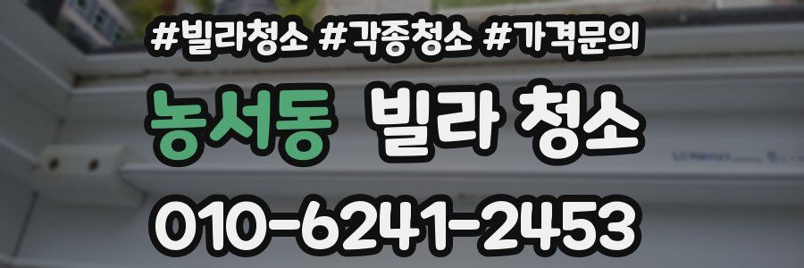 농서동 빌라 청소