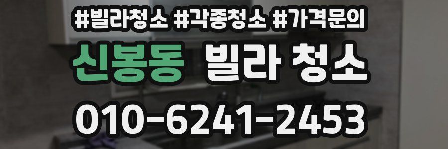 신봉동 빌라 청소