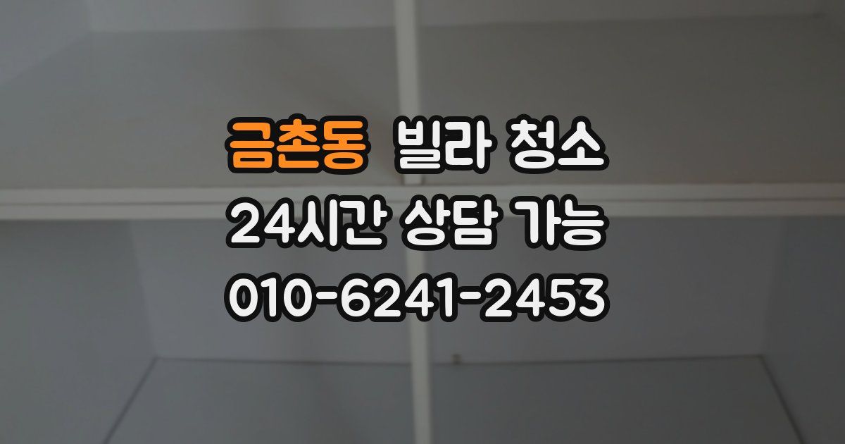 금촌동 빌라 청소