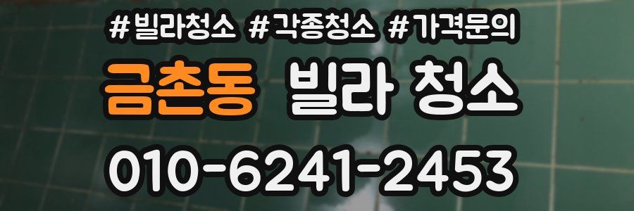 금촌동 빌라 청소