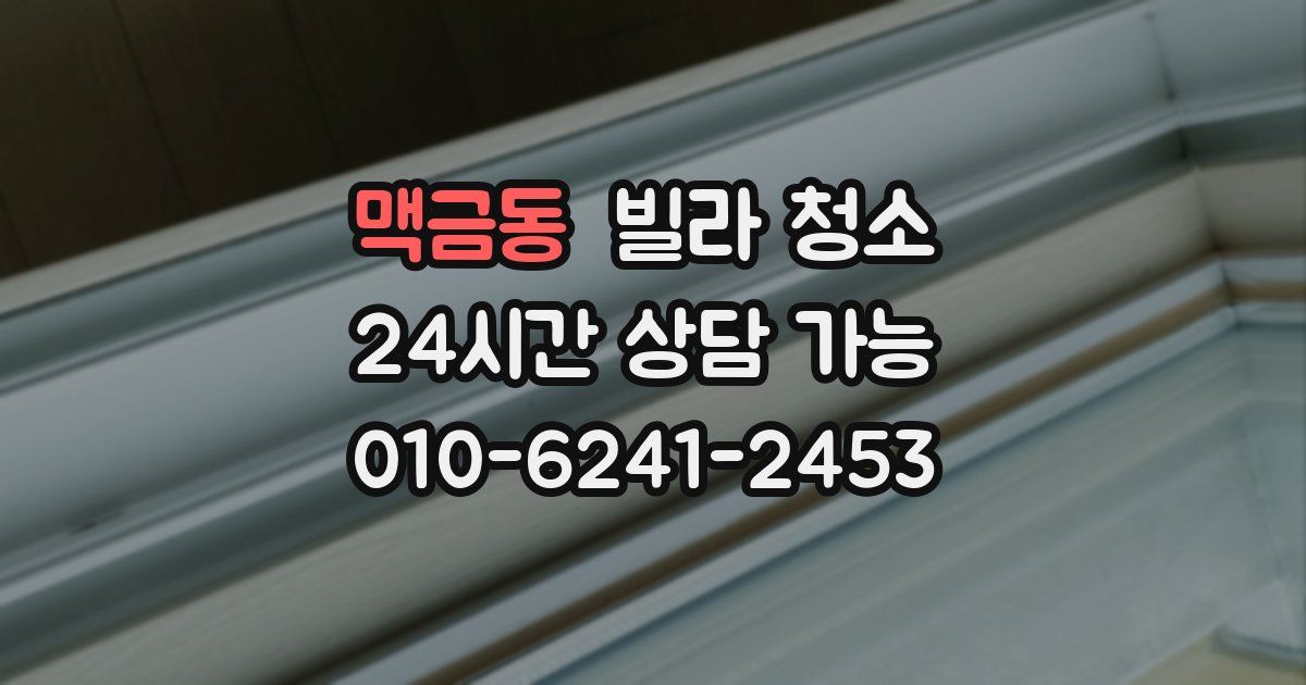 맥금동 빌라 청소