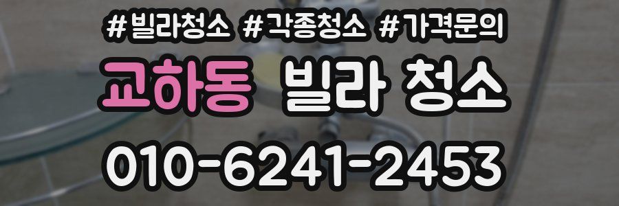 교하동 빌라 청소