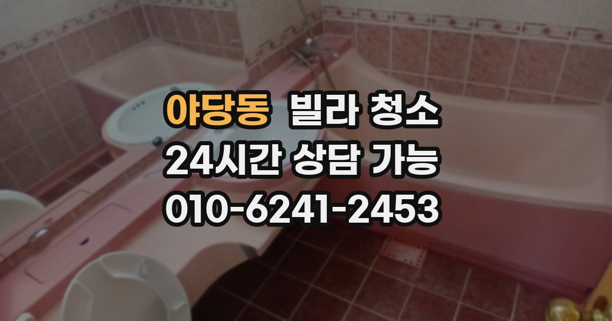 야당동 빌라 청소