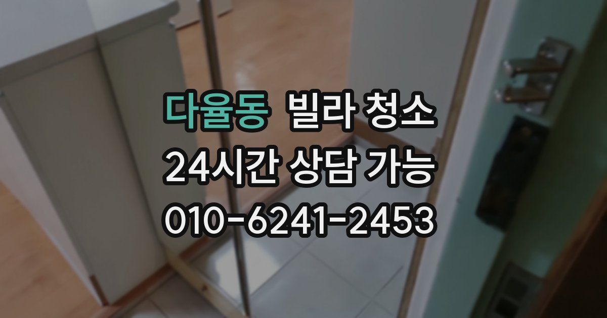 다율동 빌라 청소