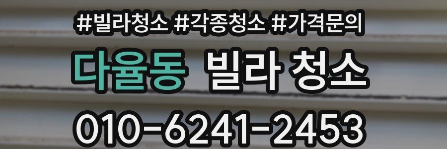 다율동 빌라 청소