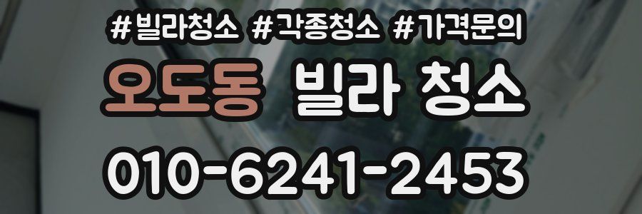 오도동 빌라 청소