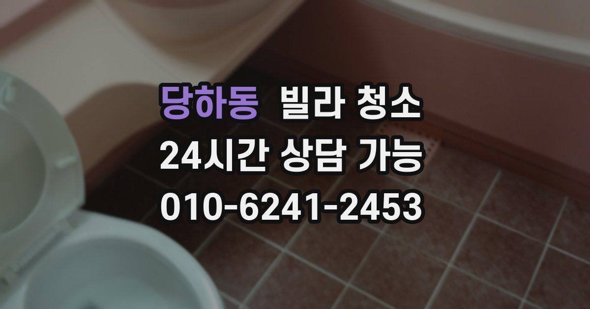 당하동 빌라 청소