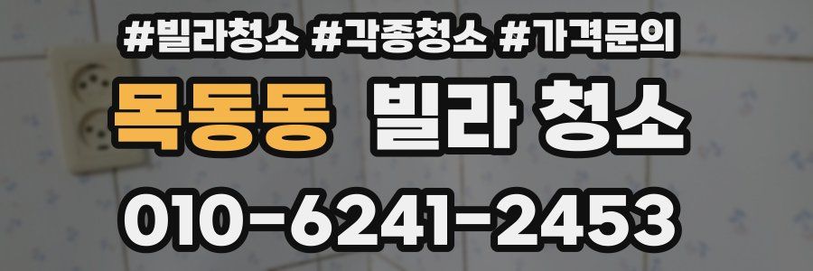 목동동 빌라 청소