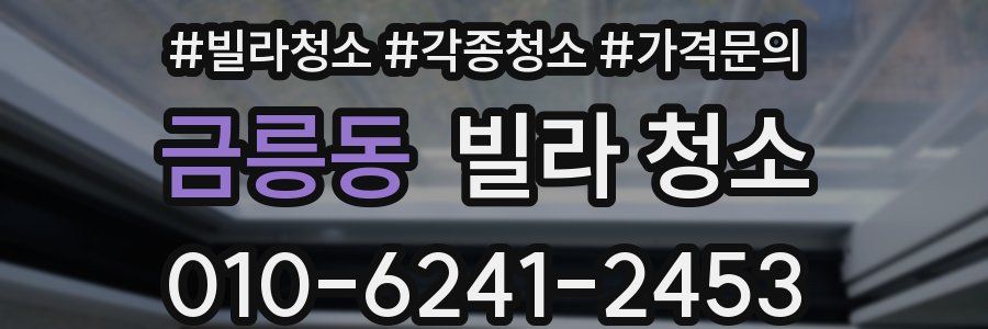 금릉동 빌라 청소