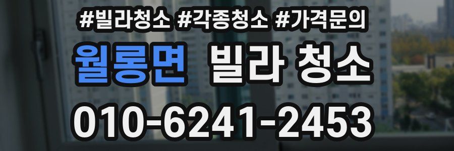 월롱면 빌라 청소