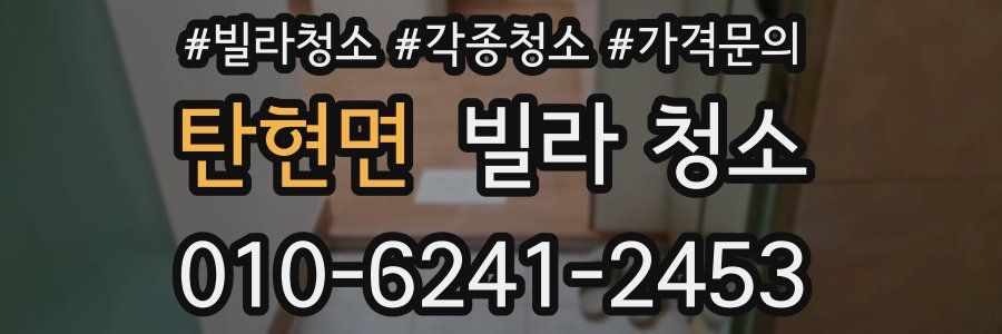 탄현면 빌라 청소