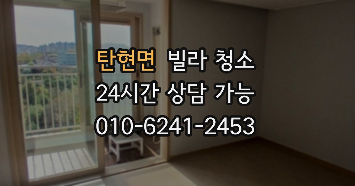 탄현면 빌라 청소