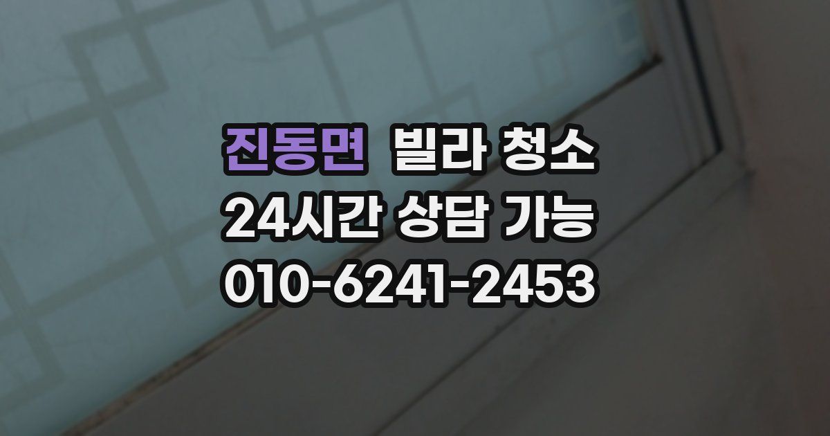 진동면 빌라 청소