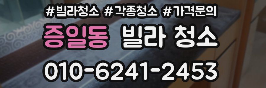 증일동 빌라 청소