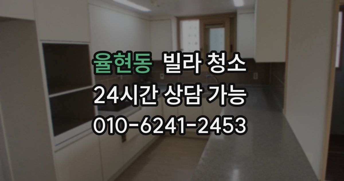 율현동 빌라 청소