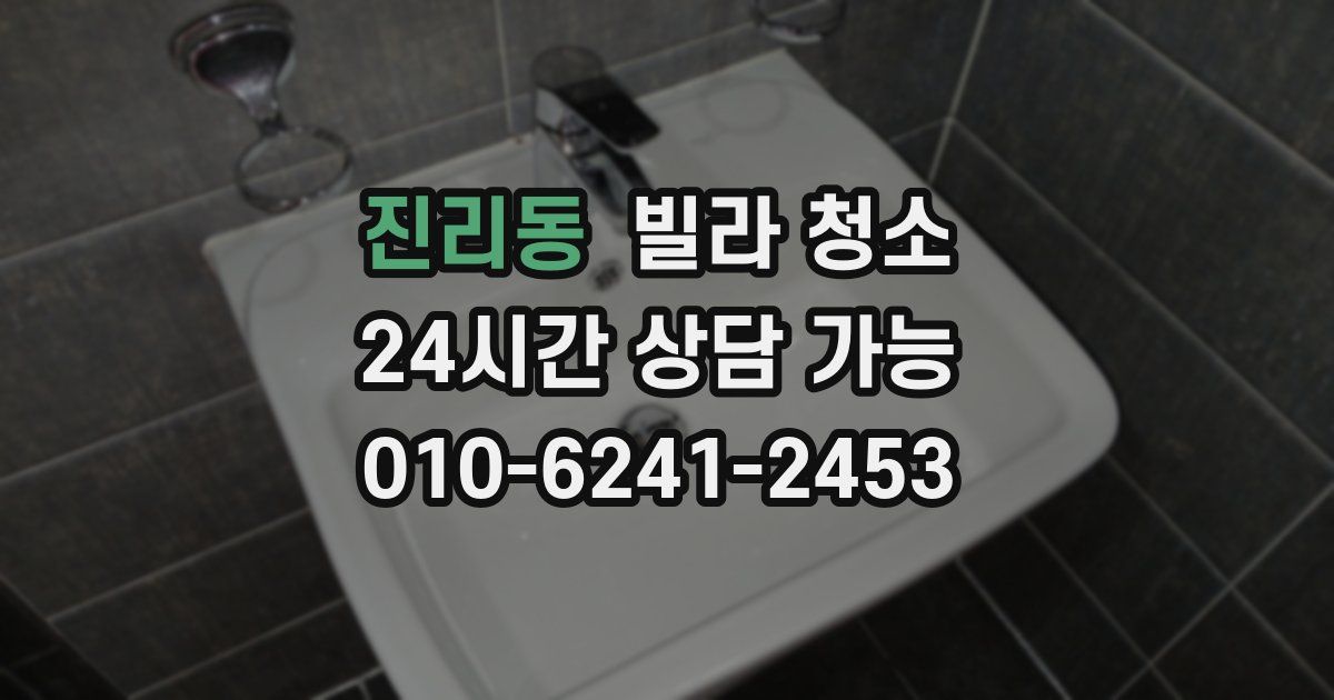 진리동 빌라 청소