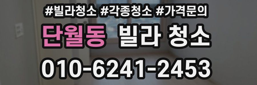 단월동 빌라 청소