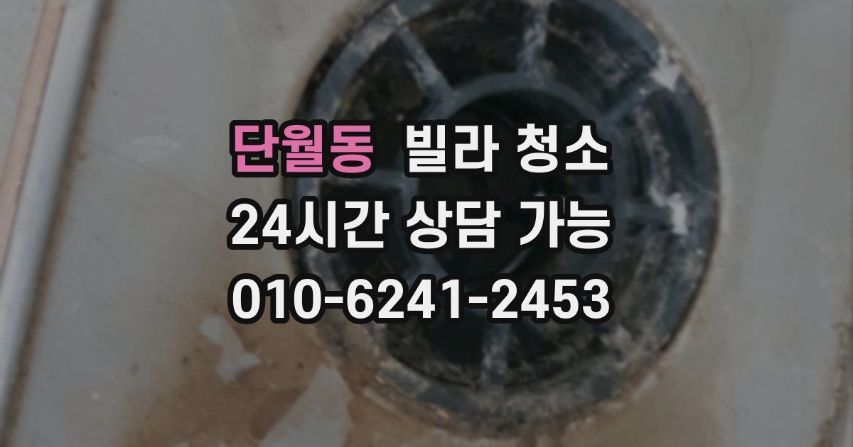 단월동 빌라 청소
