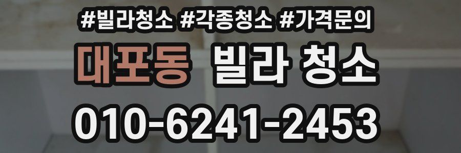 대포동 빌라 청소
