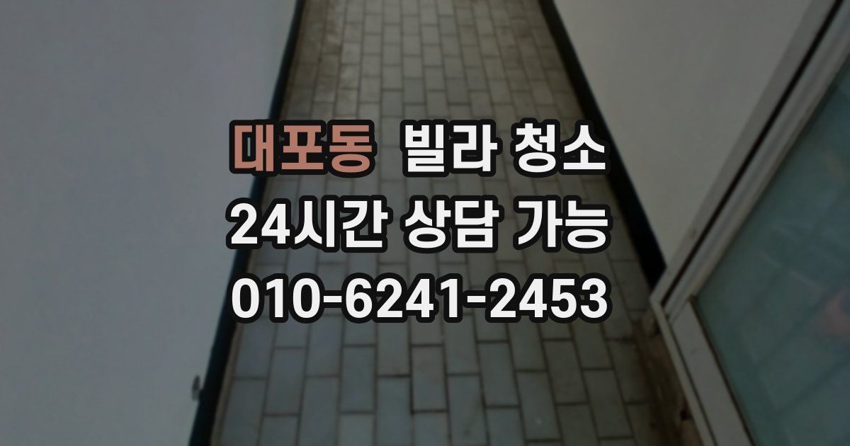 대포동 빌라 청소