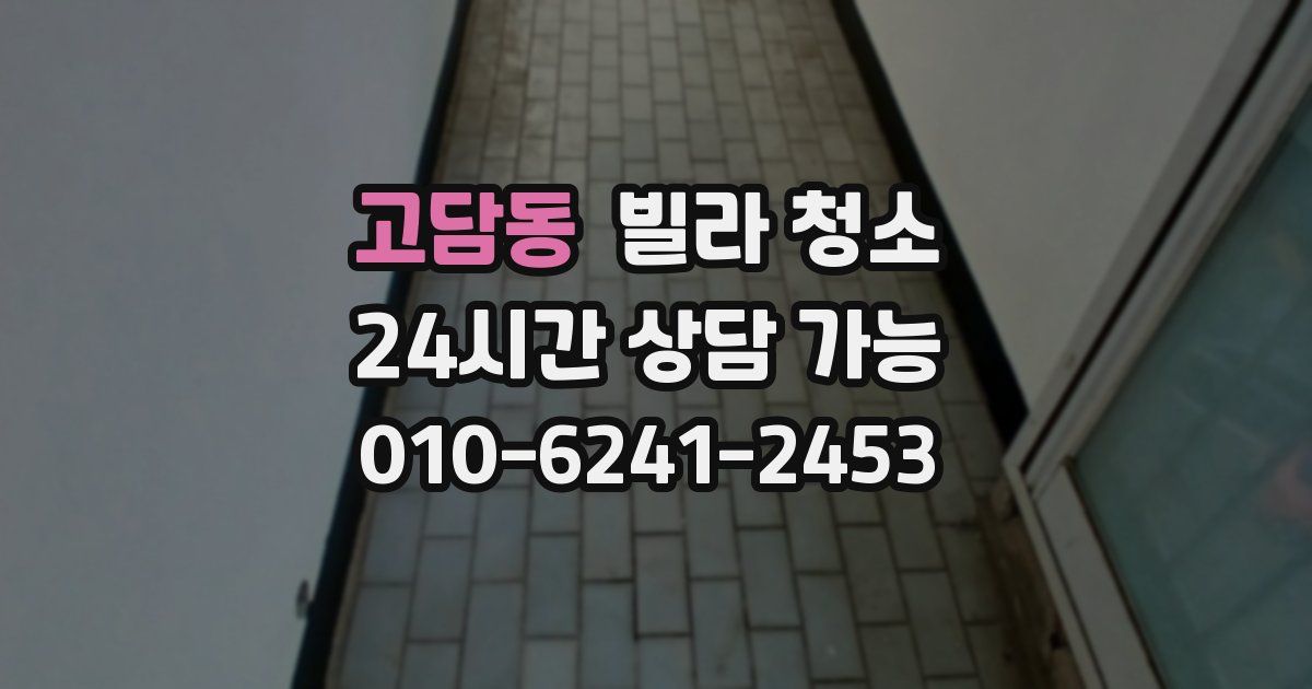 고담동 빌라 청소
