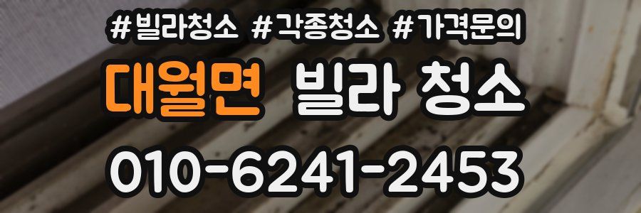 대월면 빌라 청소