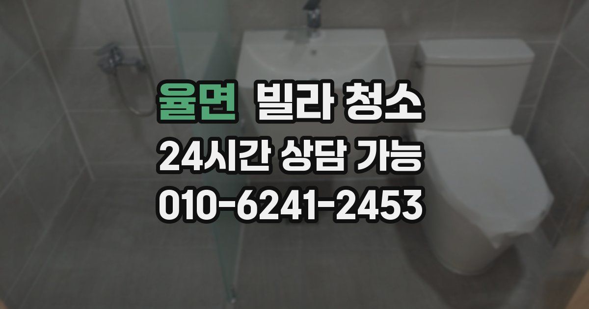 율면 빌라 청소