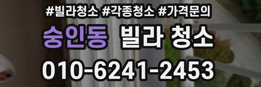 숭인동 빌라 청소