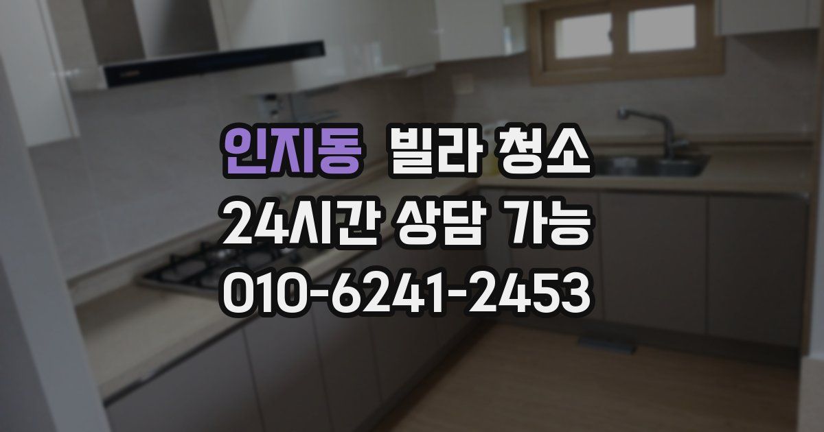 인지동 빌라 청소