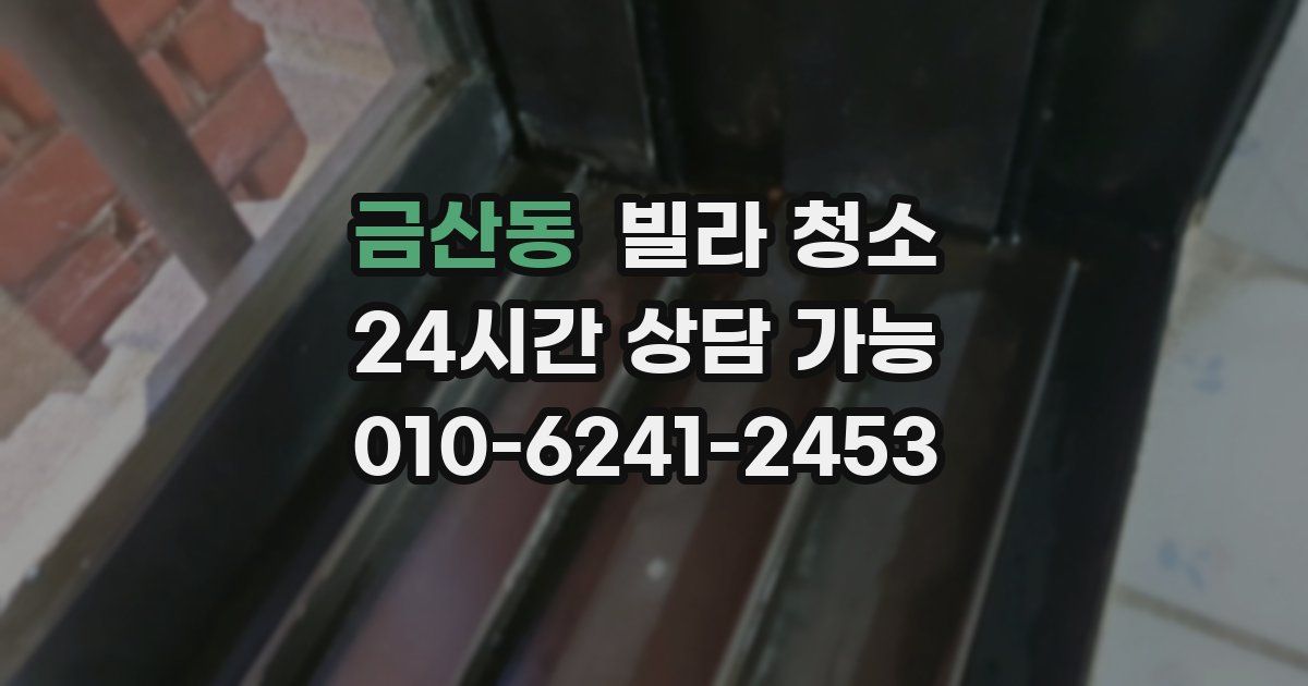 금산동 빌라 청소